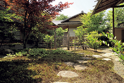 関本邸の庭