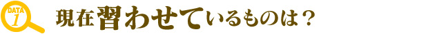 現在習わせているものは？