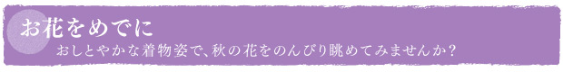 お花をめでに　おしとやかな着物姿で、秋の花をのんびり眺めてみませんか？