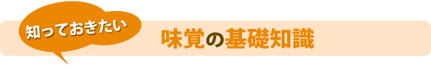 知っておきたい　味覚の基礎知識