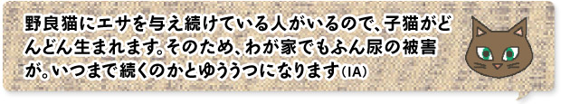 野良猫にエサを与え続けている人がいるので、子猫がどんどん生まれます。そのため、わが家でもふん尿の被害が。いつまで続くのかとゆううつになります （IA）