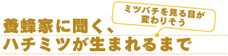 養蜂家に聞く、ハチミツが生まれるまで