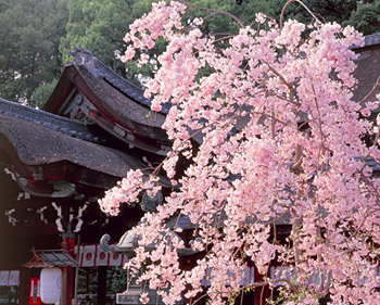 今宮神社