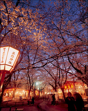 平野神社