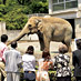 試写室・劇場から