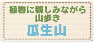 植物に親しみながら山歩き／瓜生山