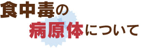 食中毒の病原体について