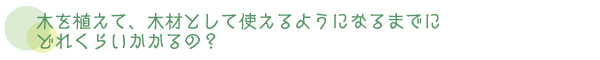 木を植えて、木材として使えるようになるまでにどれくらいかかるの？