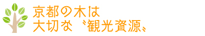 京都の木は大切な“観光資源”