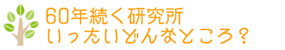 60年続く研究所いったいどんなところ？
