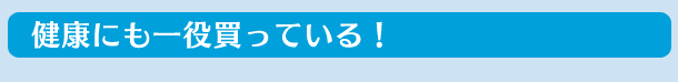 健康にも一役買っている！