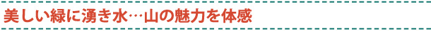 美しい緑に湧き水…山の魅力を体感