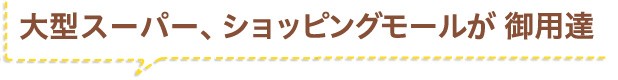 大型スーパー、ショッピングモールが御用達