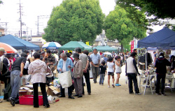 伏見港公園フリーマーケット