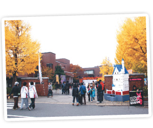 京都工芸繊維大学の正門は、イチョウの木が目印