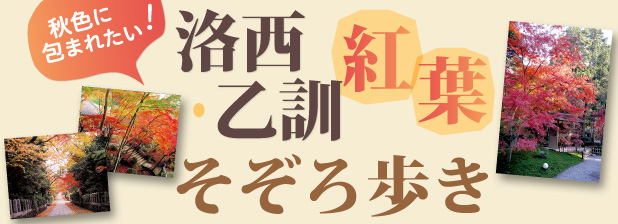 長岡京に“家庭科部”ができました