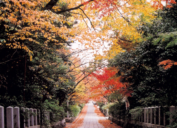 向日神社