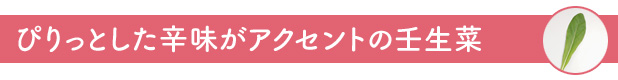 ぴりっとした辛味がアクセントの壬生菜