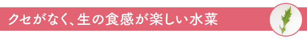 クセがなく、生の食感が楽しい水菜