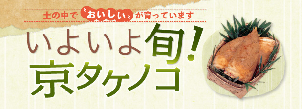 土の中で“おいしい”が育ってます　いよいよ旬！京タケノコ