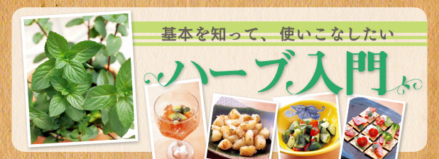 基本を知って、使いこなしたい　ハーブ入門