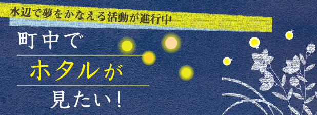 水辺で夢をかなえる活動が進行中　町中でホタルが見たい！