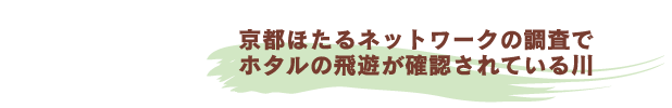 京都ほたるネットワークの調査で ホタルの飛遊が確認されている川 