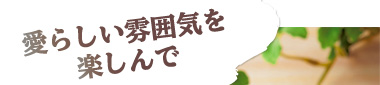 愛らしい雰囲気を楽しんで