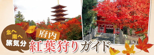 北へ南へ旅気分　府内紅葉狩りガイド