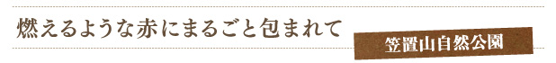 燃えるような赤にまるごと包まれて　笠置町