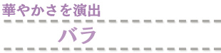 華やかさを演出　バラ