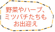 野菜やハーブ、ミツバチたちもお出迎え