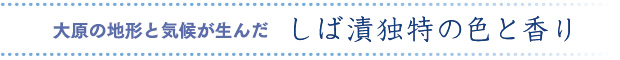 大原の地形と気候が生んだ しば漬独特の色と香り