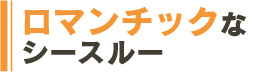 ロマンチックなシースルー