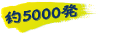 約5000発