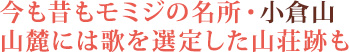 今も昔もモミジの名所・小倉山山麓には歌を選定した山荘跡も