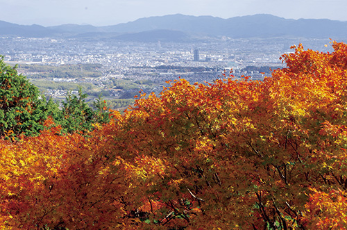 三鈷寺