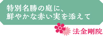 特別名勝の庭に、鮮やかな赤い実を添えて／法金剛院