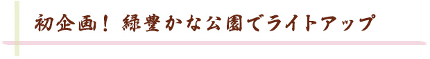 初企画！ 緑豊かな公園でライトアップ