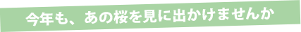 今年も、あの桜を見に出かけませんか