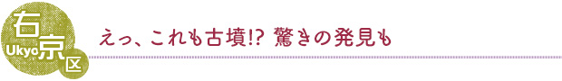 右京区／えっ、これも古墳！？驚きの発見も