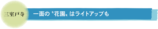 三室戸寺／一面の〝花園〟はライトアップも