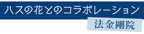 ハスの花とのコラボレーション　法金剛院