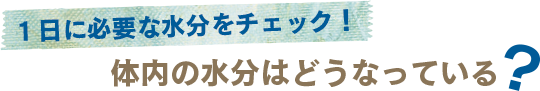 １日に必要な水分をチェック！体内の水分はどうなっている？