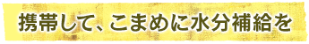 携帯して、こまめに水分補給を