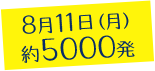 8月11日（月）約5000発