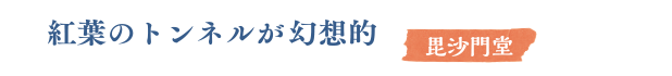 紅葉のトンネルが幻想的　毘沙門堂