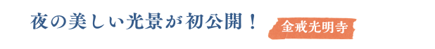 夜の美しい光景が初公開！　金戒光明寺