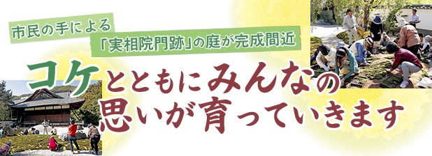 市民の手による「実相院門跡」の庭が完成間近　コケとともにみんなの思いが育っていきます