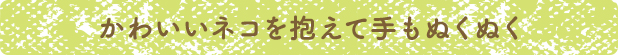 かわいいネコを抱えて手もぬくぬく